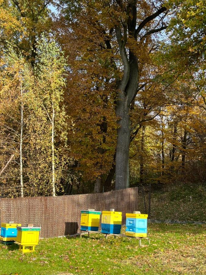 Debowy Zakatek - Spokojny, Komfortowy Wypoczynek W Okolicy Krakowa Radziszow Экстерьер фото